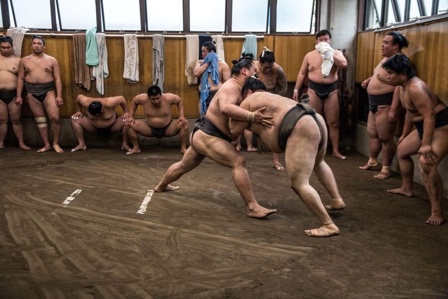 Tokyo: Sumo Morning Practice Viewing Tour - Photos and contact with the wrestlers
