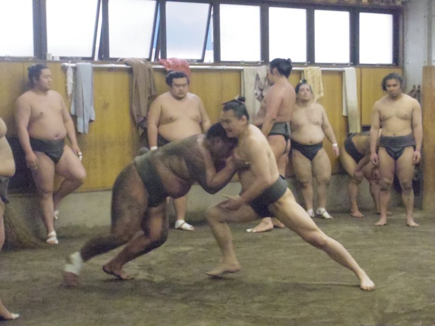 Tokyo: Sumo Morning Practice Viewing Tour - The value of an $81 ticket