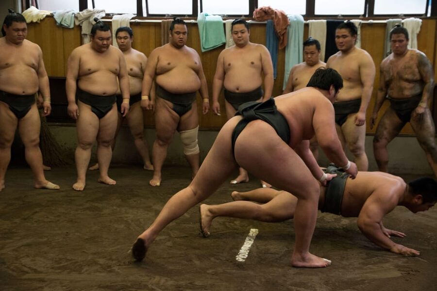 Tokyo: Sumo Morning Practice Viewing Tour - Who should book this experience