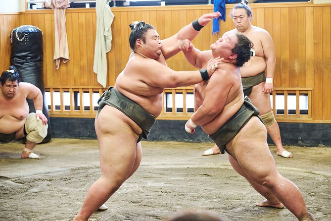 Tokyo: Sumo Morning Practice Viewing Tour at a Real Stable - Why this sumo practice feels different from a match