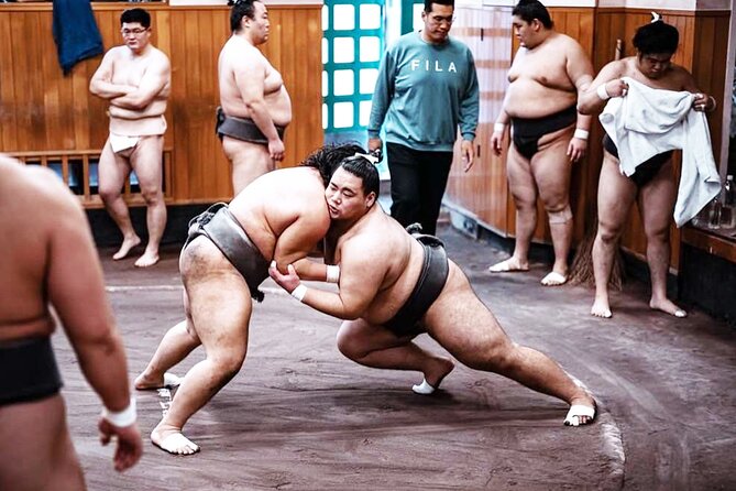 Tokyo: Sumo Morning Practice Viewing Tour at a Real Stable - What the training reveals about sumo