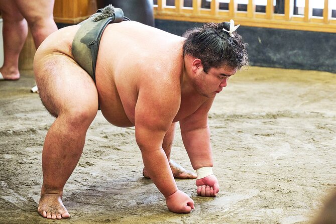 Tokyo: Sumo Morning Practice Viewing Tour at a Real Stable - Meeting the wrestlers and taking photos