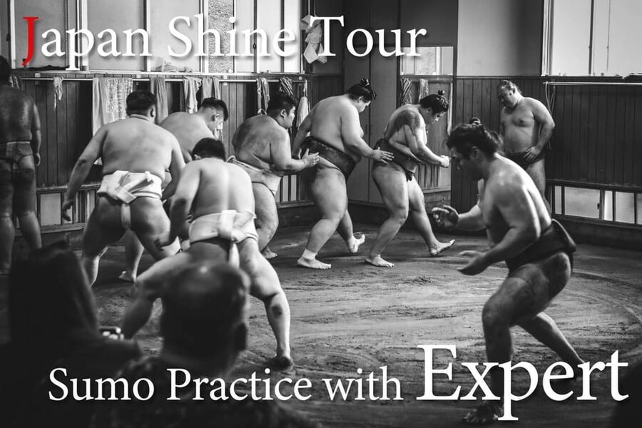 Tokyo: Sumo Morning Practice with journalists. Not fake show - Watching practice without disturbing it
