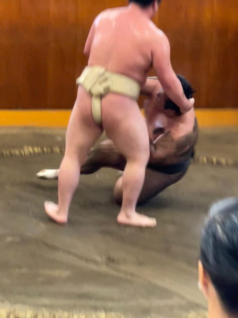 Tokyo: Sumo Morning Practice with Photo Banzuke and Guide - Key things to know before you book