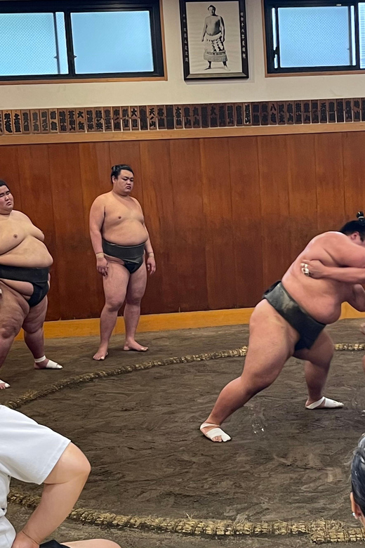 Tokyo: Sumo Morning Practice with Photo Banzuke and Guide - Practical advice for a smoother visit