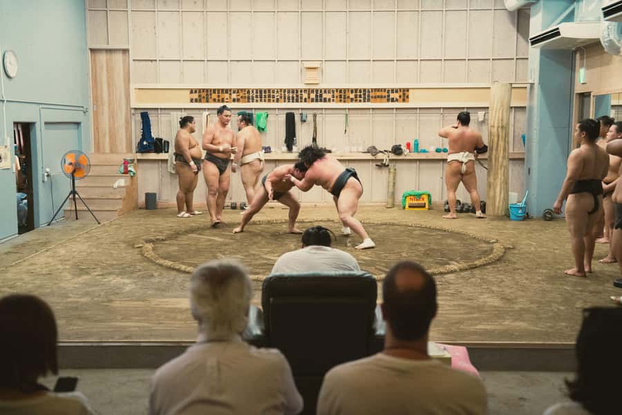 Tokyo Sumo Morning Practice: Witness the Life of a Wrestler - Practical advice for a smoother visit