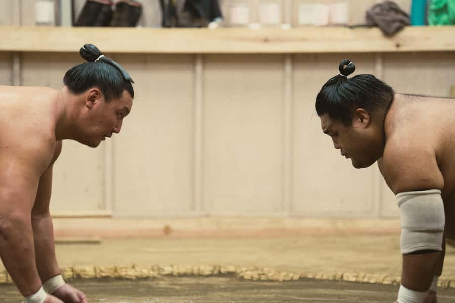Tokyo Sumo Morning Practice: Witness the Life of a Wrestler - Watching the morning training session