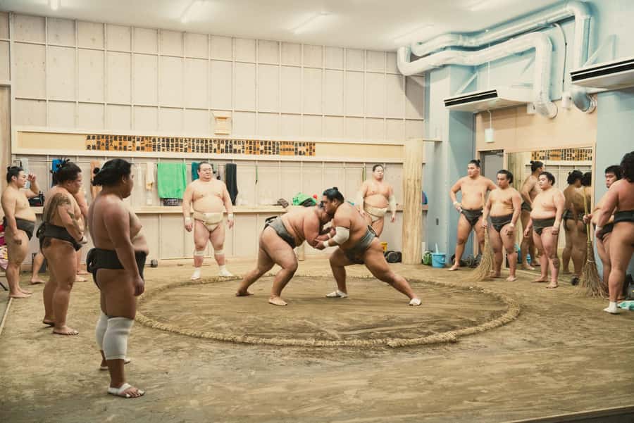 Tokyo Sumo Morning Practice: Witness the Life of a Wrestler - The photo opportunity after practice