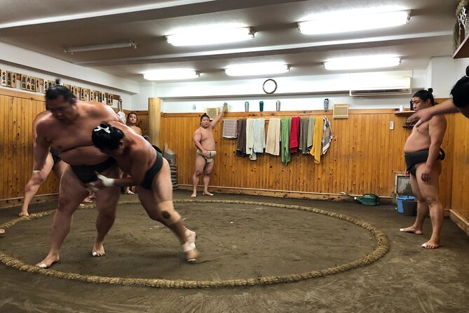 Tokyo Sumo Morning Training/ Sumo Practice with Wrestlers - Who will enjoy this sumo visit most?