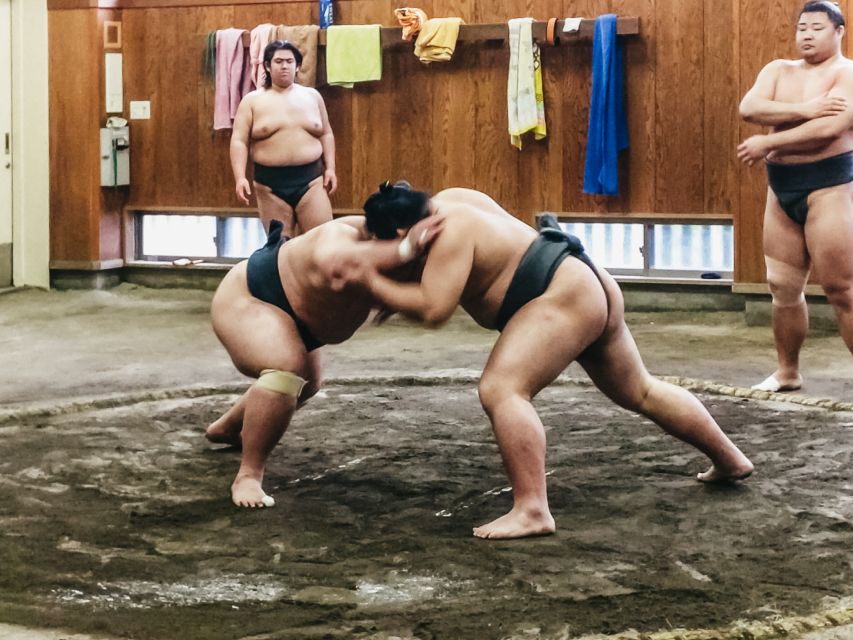 Tokyo: Sumo Morning Training Visit - Key points to know before booking