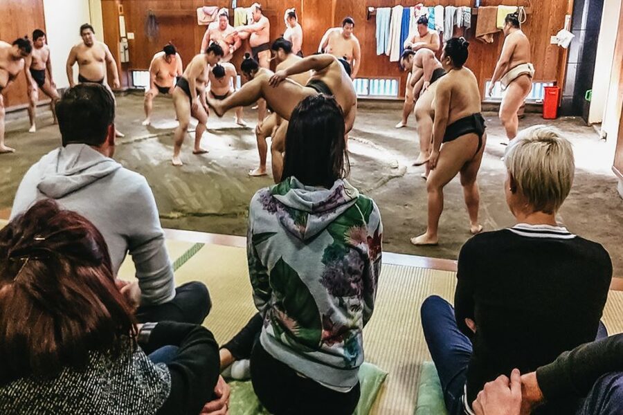 Tokyo: Sumo Morning Training Visit - Seeing sumo before the crowds arrive