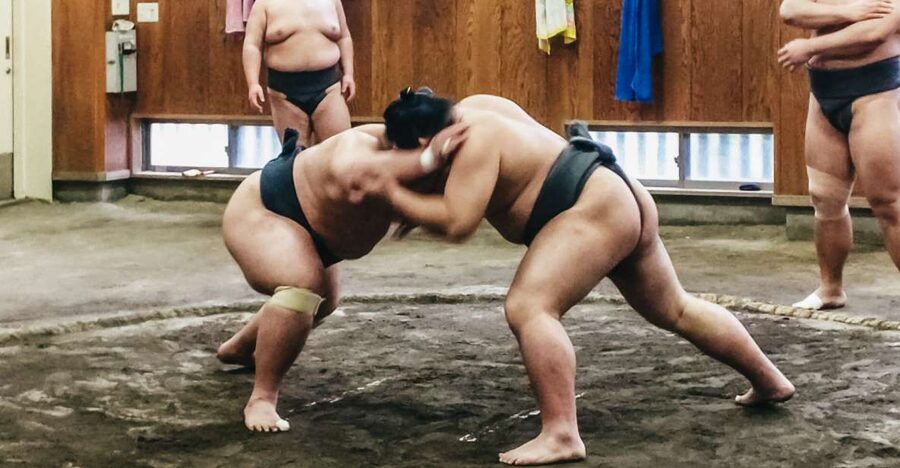 Tokyo: Sumo Morning Training Visit - What the one-hour visit really includes