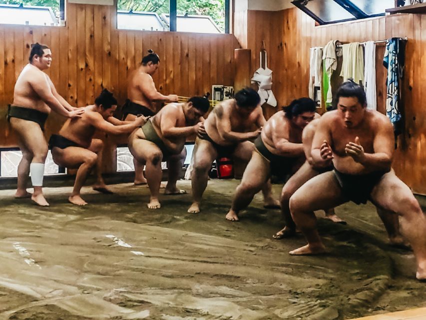Tokyo: Sumo Morning Training Visit - The guide may be a host, not a teacher