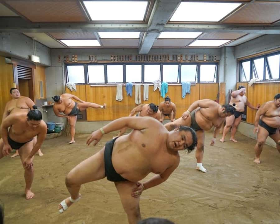 Tokyo: Sumo Practice Tour with Ring-Side Seat and Photoshoot - A respectful look at stable life