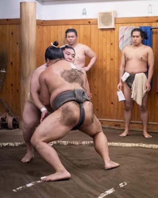 Tokyo: Sumo Show and Experience in Shinjuku - What happens inside the Shinjuku sumo show