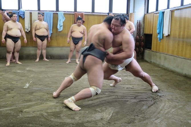 Tokyo Sumo Tournament Chair Seat Ticket with Entrance Assistant - Four and a half hours of tournament atmosphere