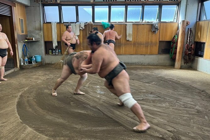 Tokyo Sumo Tournament Chair Seat Ticket with Entrance Assistant - Who will enjoy this sumo package most?