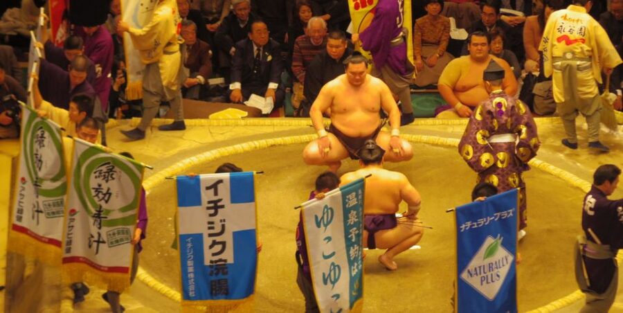 Tokyo: Sumo Tournament Tour with Chair Seat Tickets - What the English-speaking guide adds