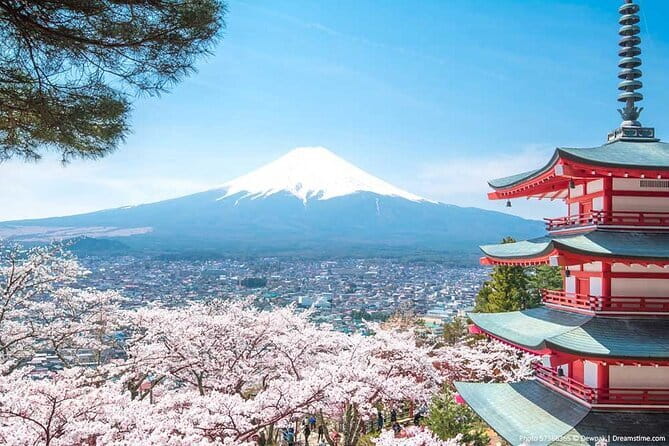 Unique Afternoon Live Sumo training tour in Tokyo - Is $137.71 fair for 90 minutes?