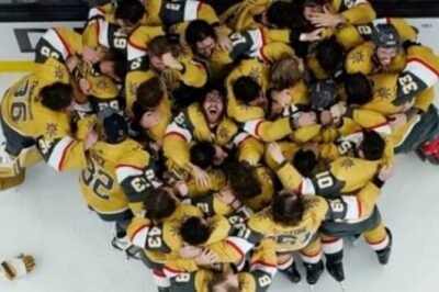 Vegas Golden Knights: NHL Hockey Tickets