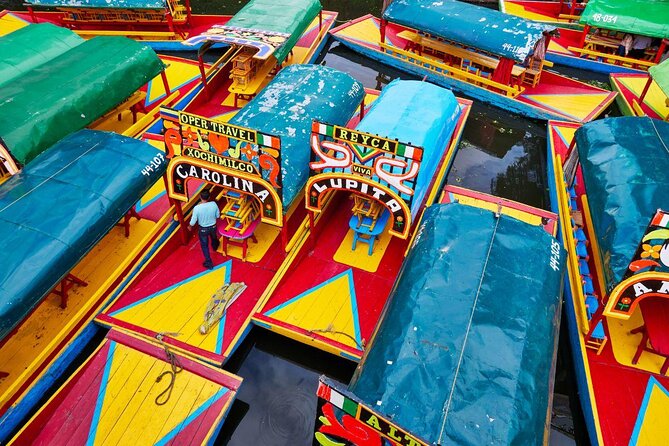 Xochimilco, Coyoacan, Aztec Stadium & UNAM - Key points to know before booking