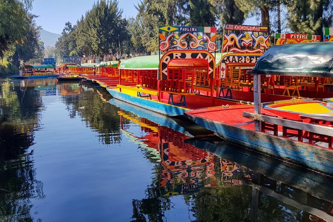 Xochimilco, Coyoacan, Aztec Stadium & UNAM - UNAM murals and university architecture