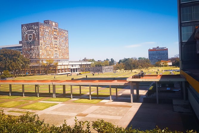 Xochimilco, Coyoacan, Aztec Stadium & UNAM - Pickup, timing, and the shared-vehicle reality